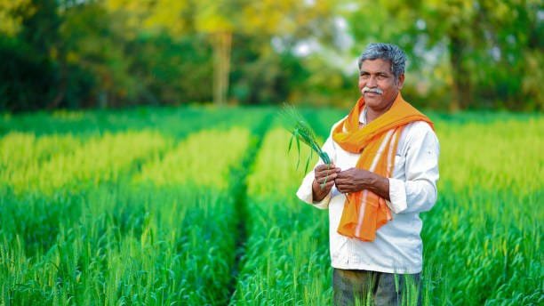 Pm kisan Payment Status 2024 Telugu