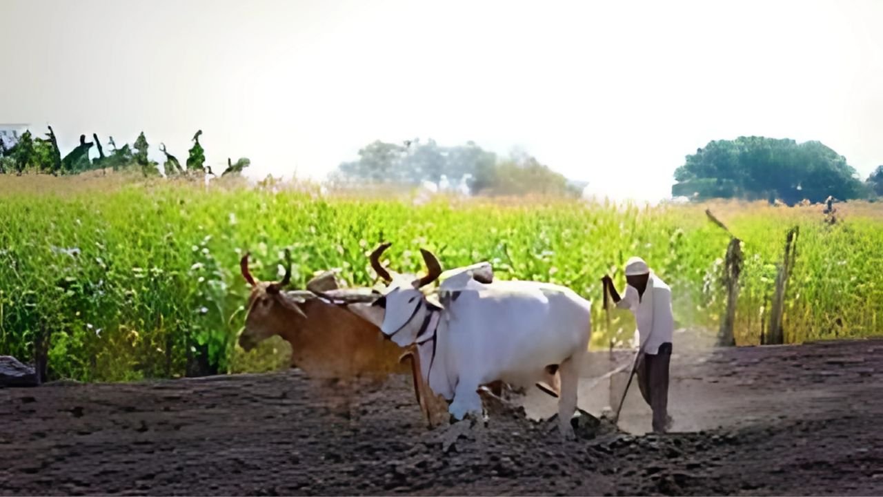 PM Kisan Samman Nidhi Yojana 