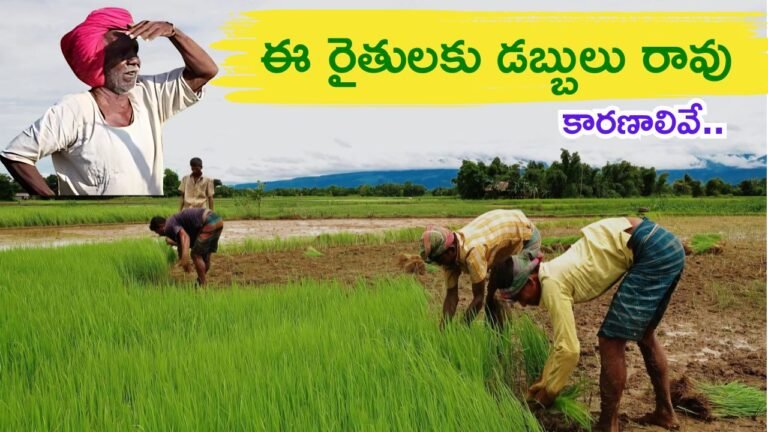 PM Kisan Samman Nidhi Yojana